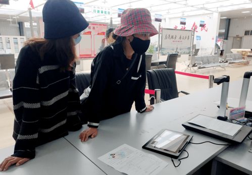 电子政务服务 节能管理便民利民新篇章